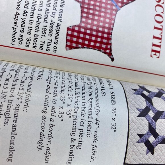 Traditional Quiltworks Magazine 20 Full-Size Patterns Issue No 47 April/May 1999 - Picture 11 of 12